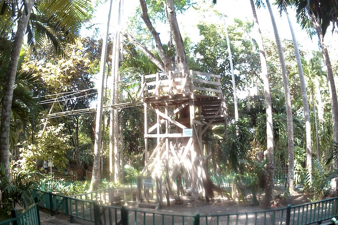 Zip Line over the Dunns River Falls - Hotel pickup and the 9:00 am start, how the timing plays out