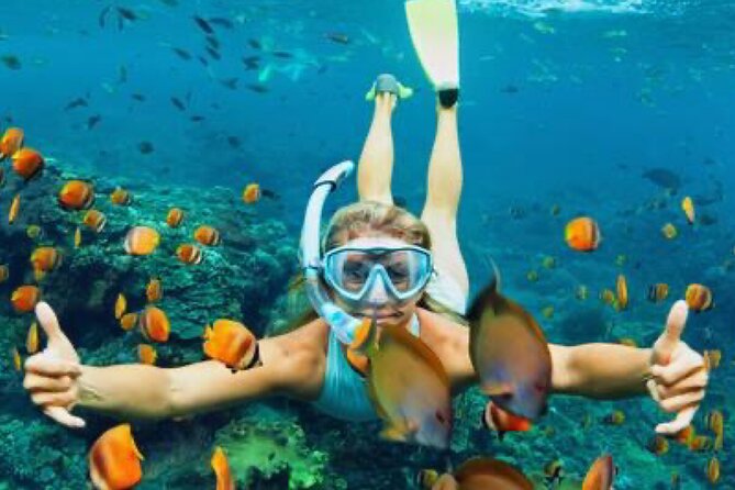 Zip-lining/Horseback Rides/Cat & Atv Inclusive Act with Transpo From Montego Bay - Admission, Bottled Water, and What You Pay For