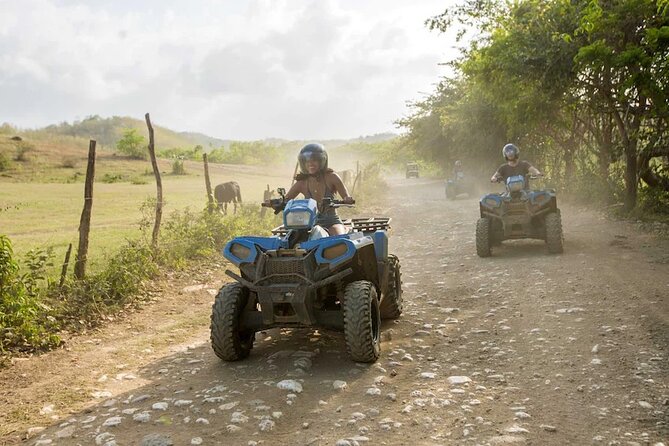 Zip-lining/Horseback Rides/Cat & Atv Inclusive Act with Transpo From Montego Bay - The ATV 4 Wheeler Safari: Speed Meets Western Jamaica Trails