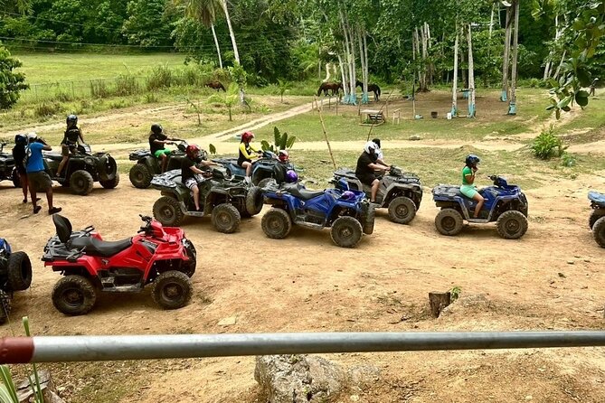 Zipline, Horseback Ride and Swim and Quad ATV bike in Negril - Zipline Time: What to Expect From a Half-Day High