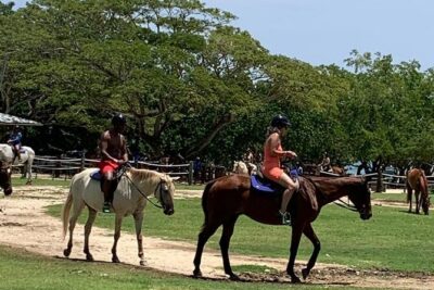 Zipline, Horseback Ride, ATV and Catamaran from Montego Bay