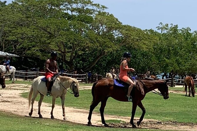 Zipline, Horseback Ride, ATV and Catamaran from Montego Bay - Zipline Through the Jamaican Forest, With CJ and John